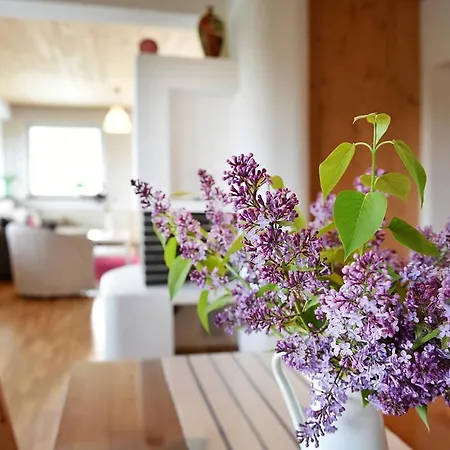 Borova Sihot Atc And 度假村