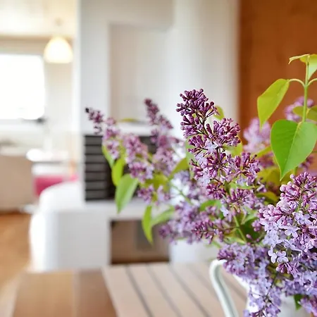 Borova Sihot Atc And