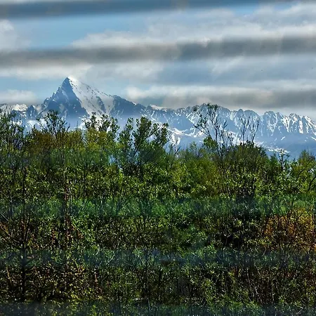 Borova Sihot Atc And Üdülőközpont 2*