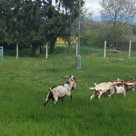 Borova Sihot Atc And 2* Liptovsky Hradok