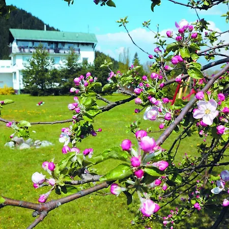 אתר נופש Borova Sihot Atc And Liptovský Hrádok