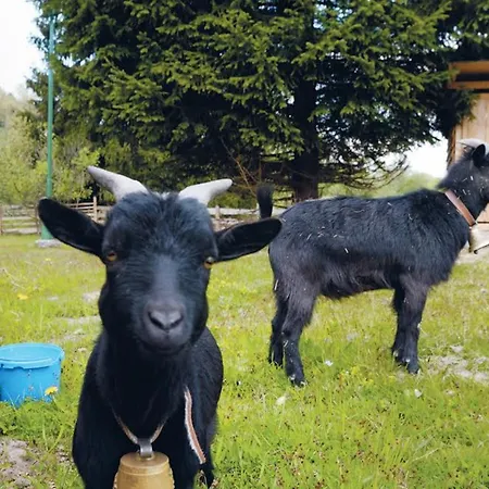 אתר נופש Borova Sihot Atc And 2*